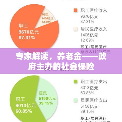 专家解读，养老金——政府主办的社会保险