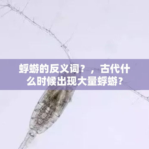 蜉蝣的反义词？，古代什么时候出现大量蜉蝣？