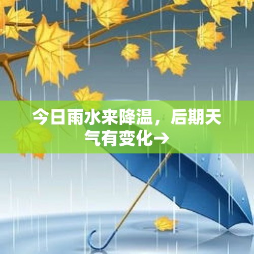 今日雨水来降温，后期天气有变化→