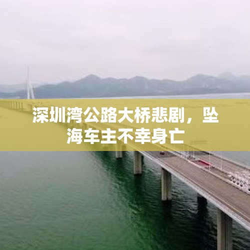 深圳湾公路大桥悲剧，坠海车主不幸身亡