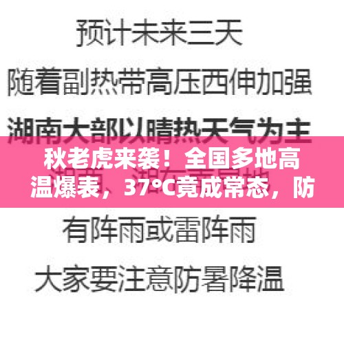 秋老虎来袭！全国多地高温爆表，37℃竟成常态，防暑攻略全在这里