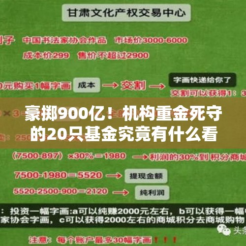 豪掷900亿！机构重金死守的20只基金究竟有什么看头？