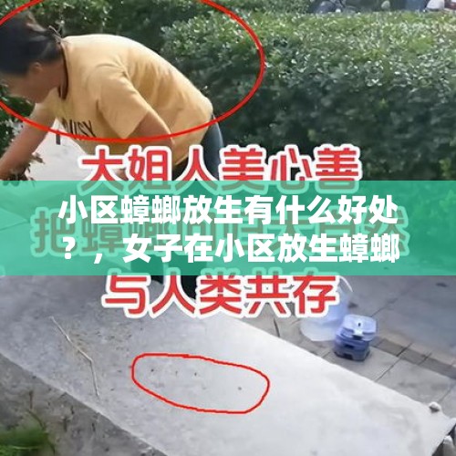 小区蟑螂放生有什么好处？，女子在小区放生蟑螂