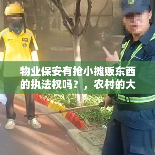 物业保安有抢小摊贩东西的执法权吗？，农村的大叔和大妈到集市上卖菜，真的好卖吗？