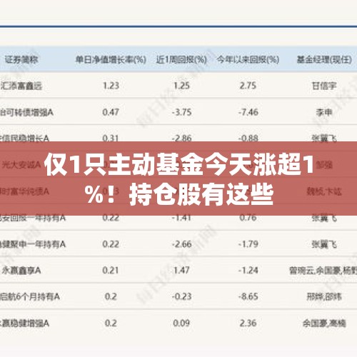 仅1只主动基金今天涨超1%！持仓股有这些