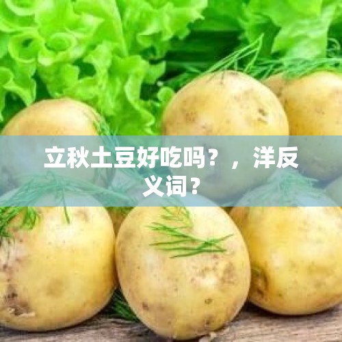 立秋土豆好吃吗？，洋反义词？