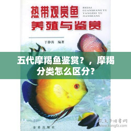 五代摩羯鱼鉴赏？，摩羯分类怎么区分？