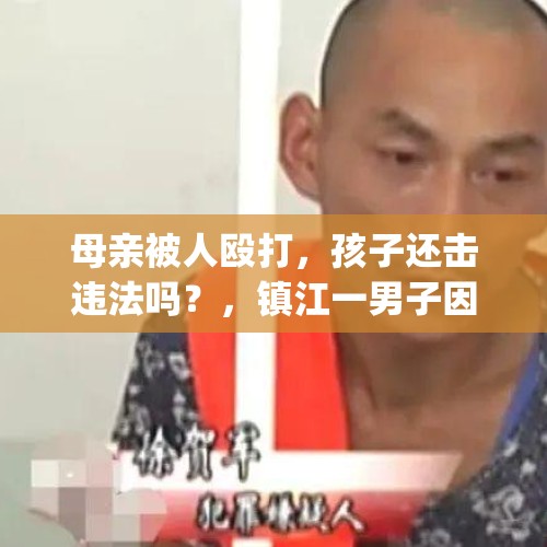 母亲被人殴打，孩子还击违法吗？，镇江一男子因父亲打断母亲3根肋骨。便请人来"替母出气"殴打父亲而获刑，你怎么看？