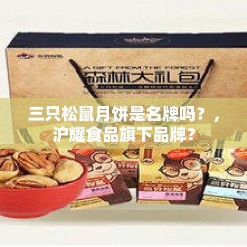 三只松鼠月饼是名牌吗？，沪耀食品旗下品牌？