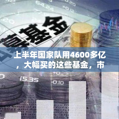 上半年国家队用4600多亿，大幅买的这些基金，市场表现却这样