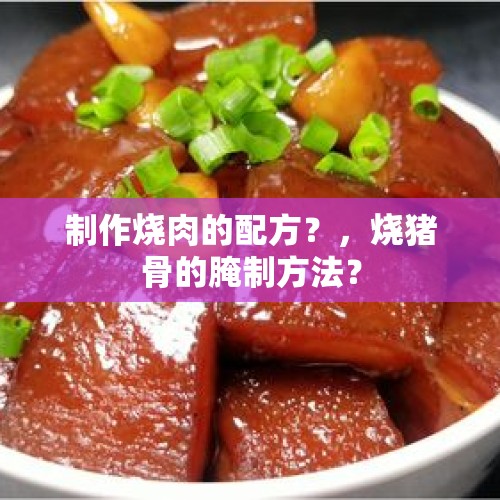 制作烧肉的配方？，烧猪骨的腌制方法？