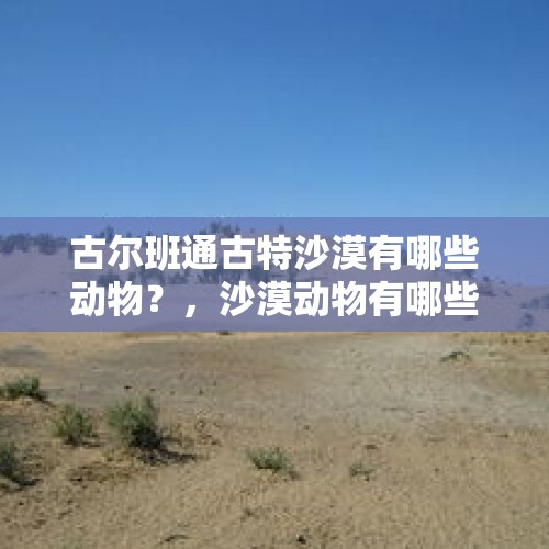 古尔班通古特沙漠有哪些动物？，沙漠动物有哪些呢？