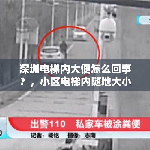 深圳电梯内大便怎么回事？，小区电梯内随地大小便能报警吗?能怎么处理？