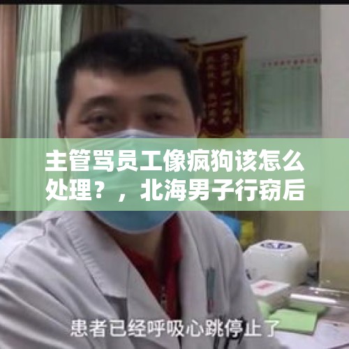 主管骂员工像疯狗该怎么处理？，北海男子行窃后竟要求受害人陪睡，被警方抓获, 你怎么看？