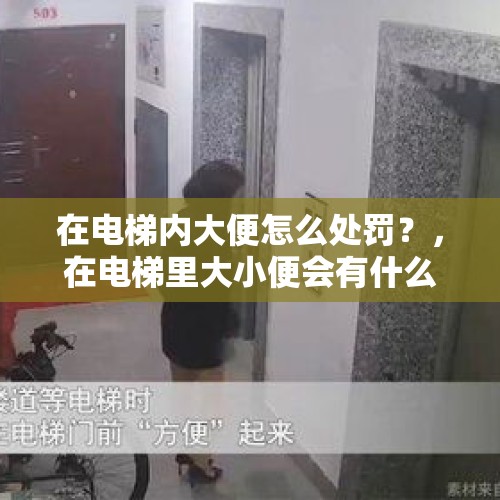 在电梯内大便怎么处罚？，在电梯里大小便会有什么惩罚？