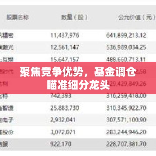 聚焦竞争优势，基金调仓瞄准细分龙头