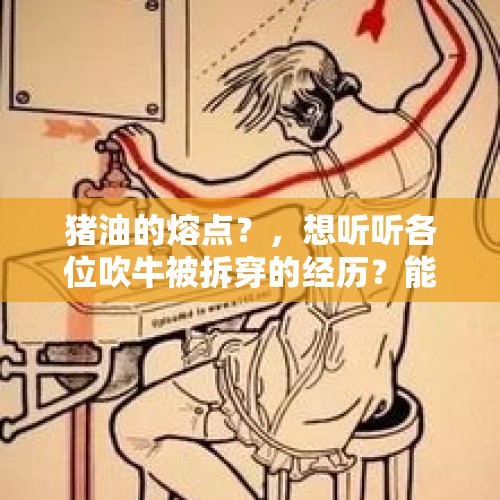 猪油的熔点？，想听听各位吹牛被拆穿的经历？能否分享一下？