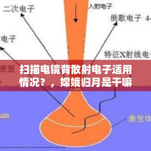 扫描电镜背散射电子适用情况？，嫦娥归月是干嘛的？