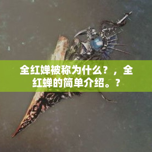 全红婵被称为什么？，全红蝉的简单介绍。？