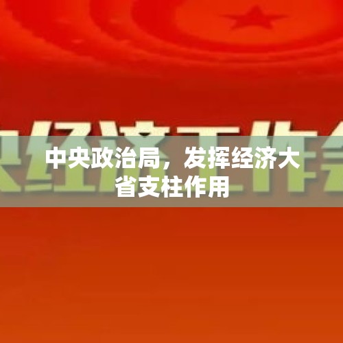 中央政治局，发挥经济大省支柱作用