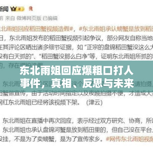 东北雨姐回应爆粗口打人事件，真相、反思与未来展望