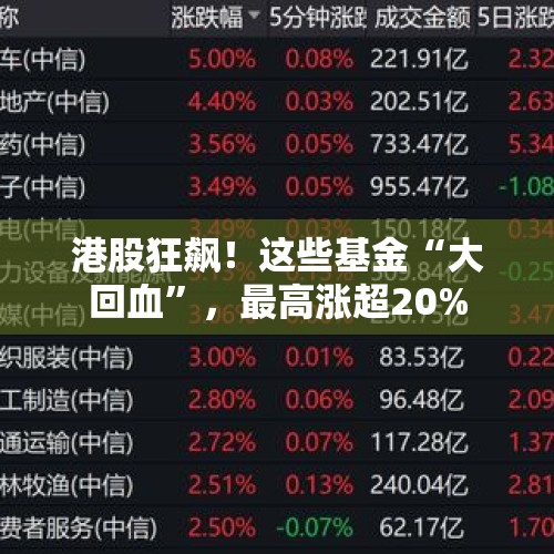 港股狂飙！这些基金“大回血”，最高涨超20%