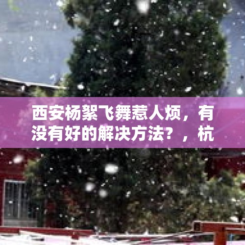 西安杨絮飞舞惹人烦，有没有好的解决方法？，杭州与安岳两起案件触目惊心，大家周围有无缘由失踪或自杀的吗？