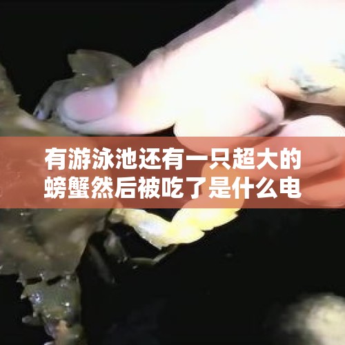 有游泳池还有一只超大的螃蟹然后被吃了是什么电影？，全面注册制即将来临，你准备好了吗？