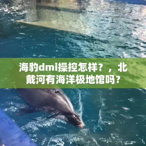 海豹dmi操控怎样？，北戴河有海洋极地馆吗？