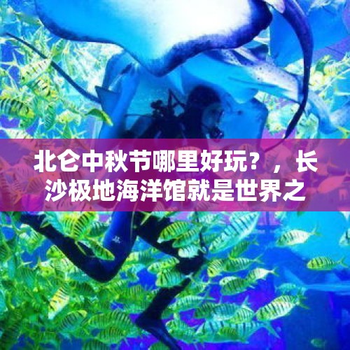 北仑中秋节哪里好玩？，长沙极地海洋馆就是世界之窗吗？