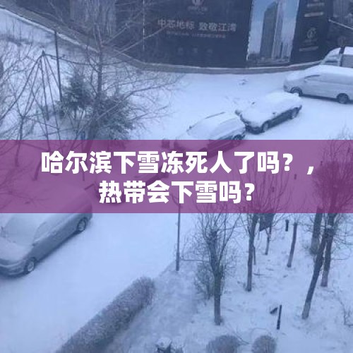 哈尔滨下雪冻死人了吗？，热带会下雪吗？