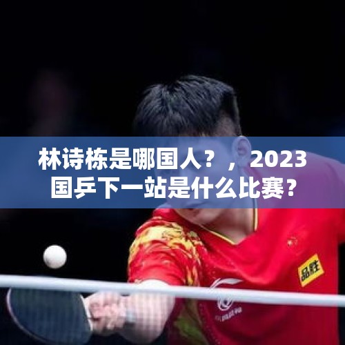 林诗栋是哪国人？，2023国乒下一站是什么比赛？