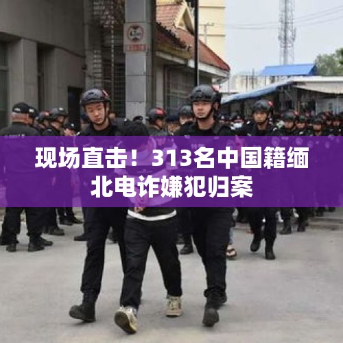 现场直击！313名中国籍缅北电诈嫌犯归案