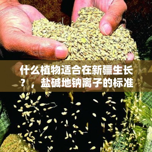 什么植物适合在新疆生长？，盐碱地钠离子的标准？