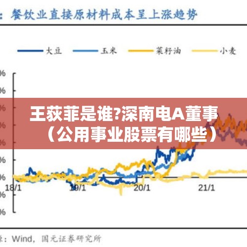 王荻菲是谁?深南电A董事（公用事业股票有哪些）