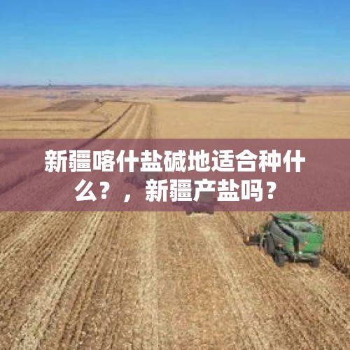 这批基金在牛市中亏钱，先踏空再追高！网友：错过大涨，没错过挨打