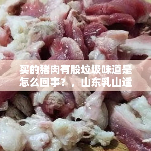 买的猪肉有股垃圾味道是怎么回事？，山东乳山适合定居吗？