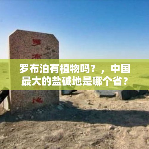 罗布泊有植物吗？，中国最大的盐碱地是哪个省？