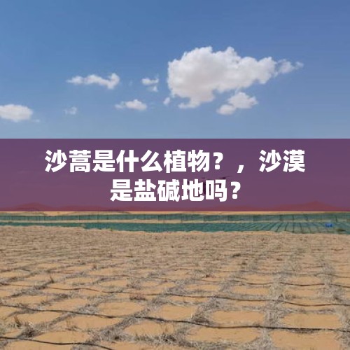 沙蒿是什么植物？，沙漠是盐碱地吗？