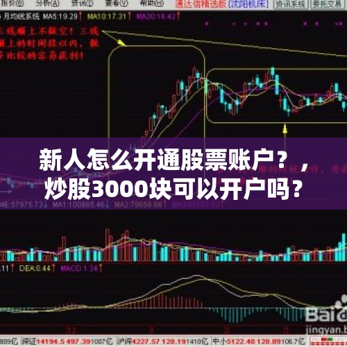 新人怎么开通股票账户？，炒股3000块可以开户吗？