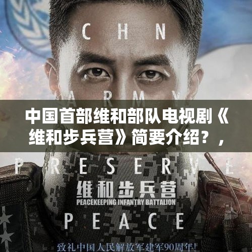 中国首部维和部队电视剧《维和步兵营》简要介绍？，战狼12哪部好看？