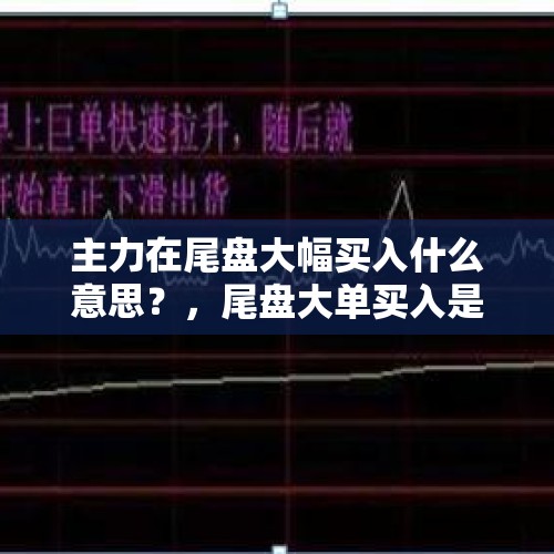 主力在尾盘大幅买入什么意思？，尾盘大单买入是什么意思？