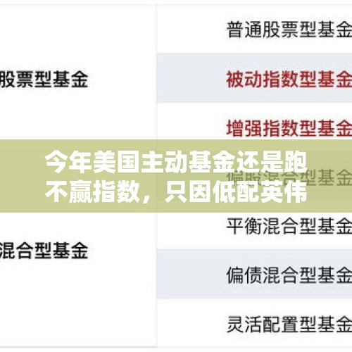 今年美国主动基金还是跑不赢指数，只因低配英伟达