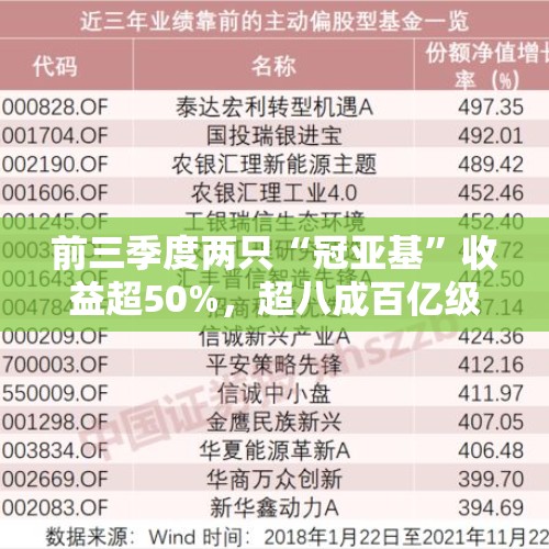 前三季度两只“冠亚基”收益超50%，超八成百亿级主动权益基金“回血”