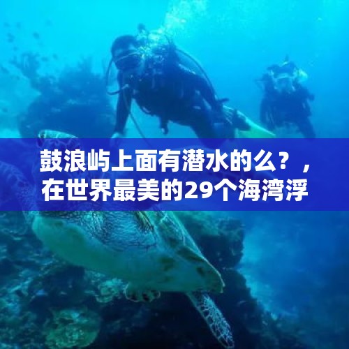 鼓浪屿上面有潜水的么？，在世界最美的29个海湾浮潜是怎样的一种体验？