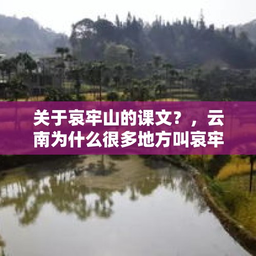 关于哀牢山的课文？，云南为什么很多地方叫哀牢山？