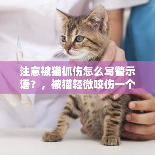 注意被猫抓伤怎么写警示语？，被猫轻微咬伤一个小孔轻微出血怎么办？