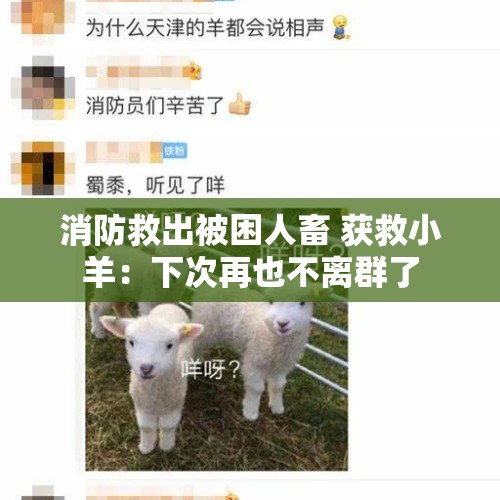 消防救出被困人畜 获救小羊：下次再也不离群了