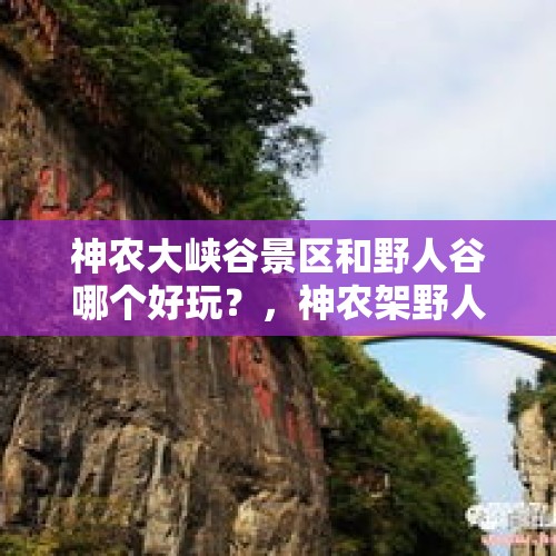 神农大峡谷景区和野人谷哪个好玩？，神农架野人谷游玩攻略？