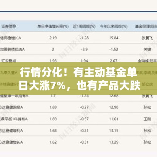 行情分化！有主动基金单日大涨7%，也有产品大跌7%